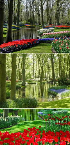 9 dei giardini più spettacolari del mondo