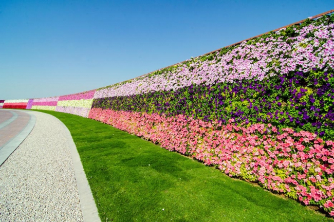 Miracle Garden - il più grande giardino di fiori naturale del mondo