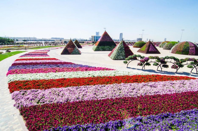 Miracle Garden - il più grande giardino di fiori naturale del mondo1