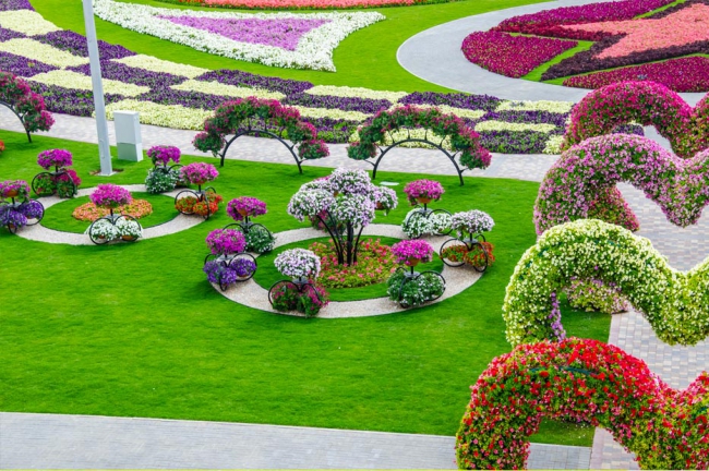 Miracle Garden - il più grande giardino di fiori naturale del mondo10