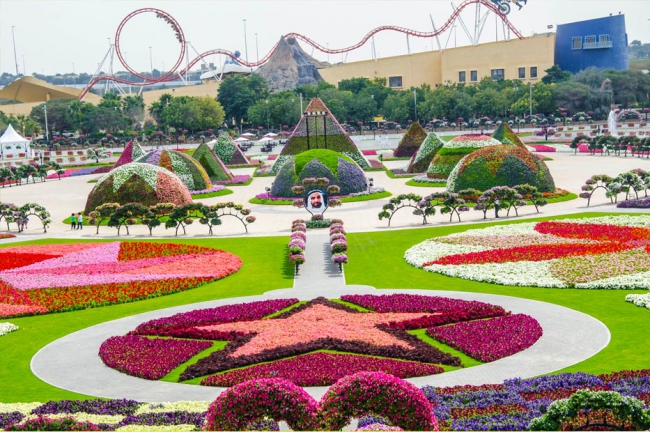 Miracle Garden - il più grande giardino di fiori naturale del mondo11