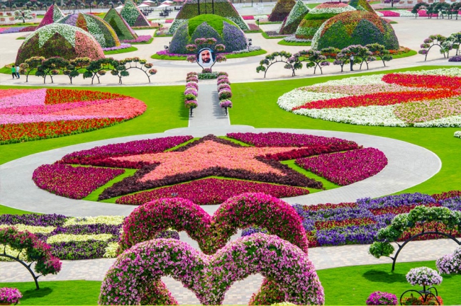 Miracle Garden - il più grande giardino di fiori naturale del mondo12