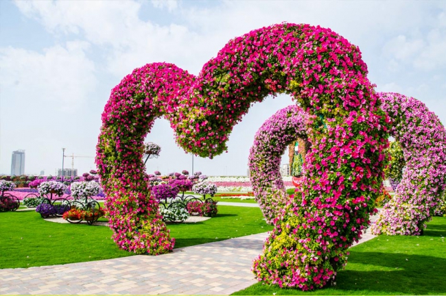 Miracle Garden - il più grande giardino di fiori naturale del mondo13