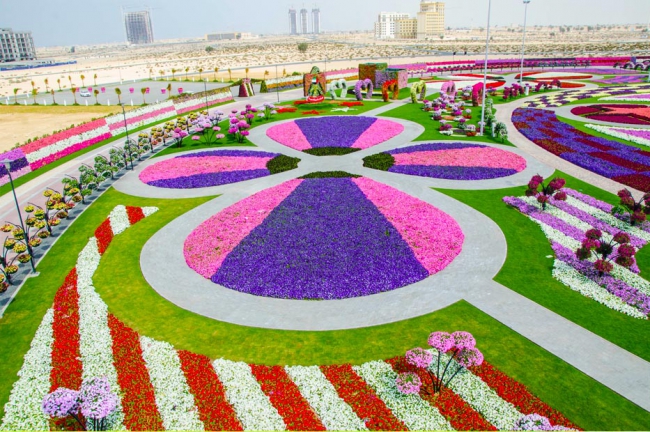 Miracle Garden - il più grande giardino di fiori naturale del mondo14