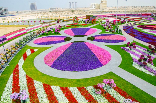 Miracle Garden - il più grande giardino di fiori naturale del mondo14