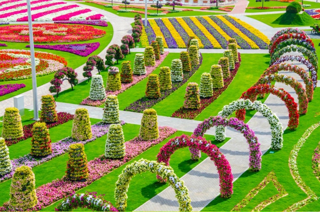 Miracle Garden - il più grande giardino di fiori naturale del mondo15