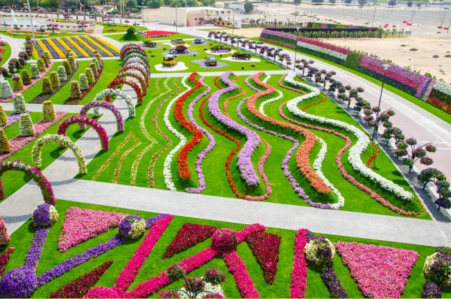 Miracle Garden - il più grande giardino di fiori naturale del mondo16