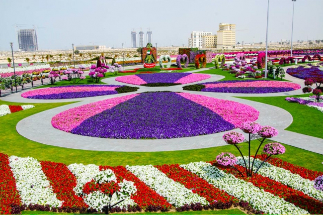 Miracle Garden - il più grande giardino di fiori naturale del mondo17