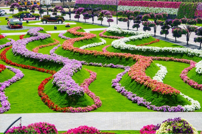 Miracle Garden - il più grande giardino di fiori naturale del mondo18