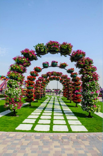 Miracle Garden - il più grande giardino di fiori naturale del mondo2