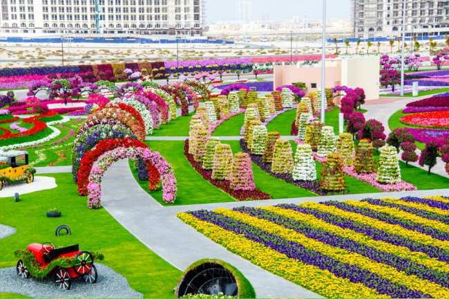 Miracle Garden - il più grande giardino di fiori naturale del mondo20