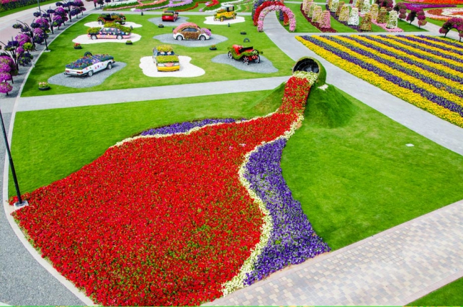 Miracle Garden - il più grande giardino di fiori naturale del mondo21