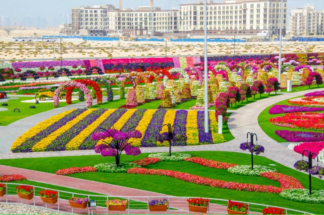 Miracle Garden - il più grande giardino di fiori naturale del mondo22