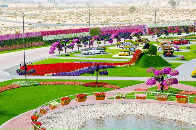 Miracle Garden - il più grande giardino di fiori naturale del mondo23