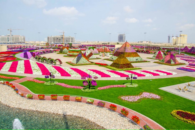 Miracle Garden - il più grande giardino di fiori naturale del mondo24