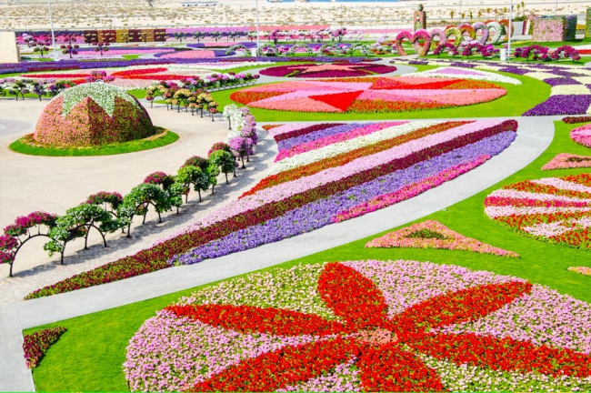 Miracle Garden - il più grande giardino di fiori naturale del mondo26
