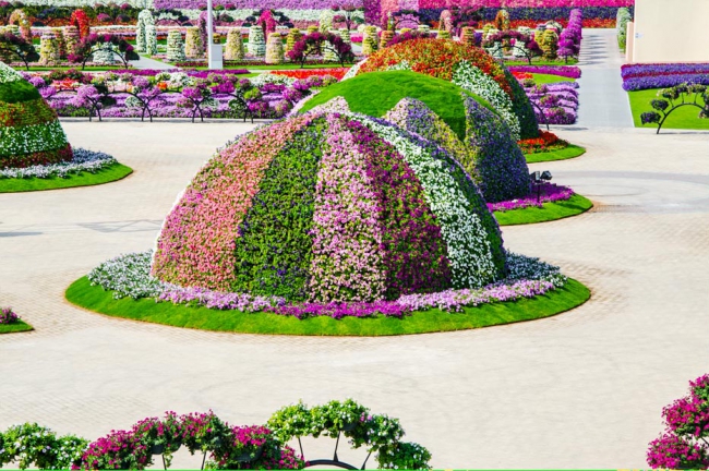 Miracle Garden - il più grande giardino di fiori naturale del mondo28