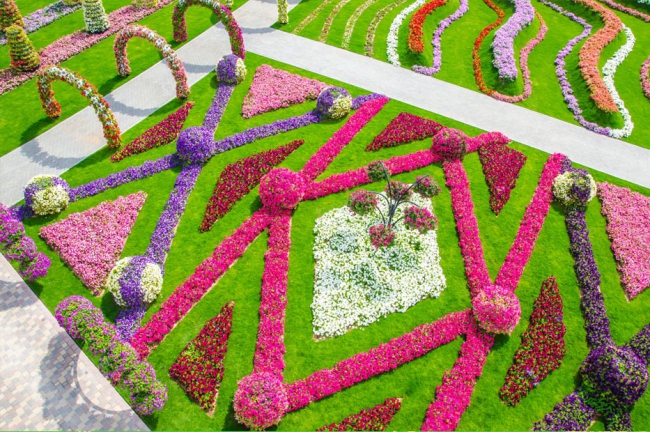 Miracle Garden - il più grande giardino di fiori naturale del mondo29