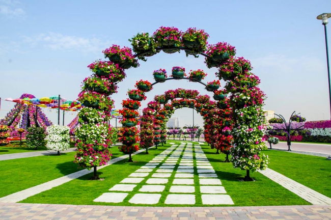 Miracle Garden - il più grande giardino di fiori naturale del mondo3