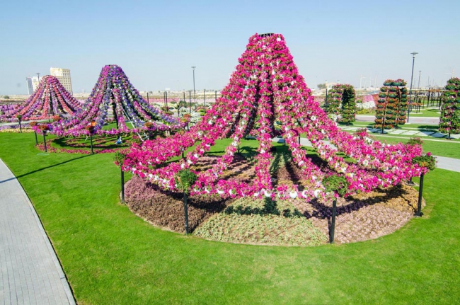 Miracle Garden - il più grande giardino di fiori naturale del mondo4