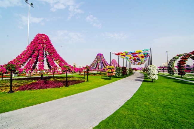 Miracle Garden - il più grande giardino di fiori naturale del mondo5
