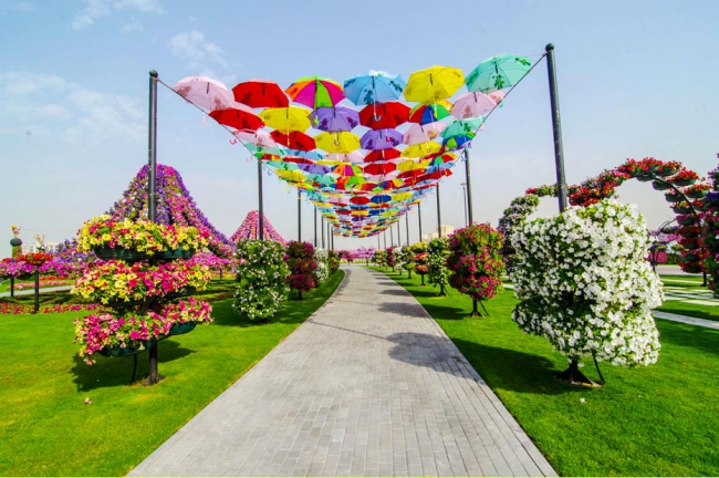 Miracle Garden - il più grande giardino di fiori naturale del mondo7