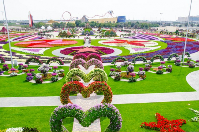 Miracle Garden - il più grande giardino di fiori naturale del mondo8
