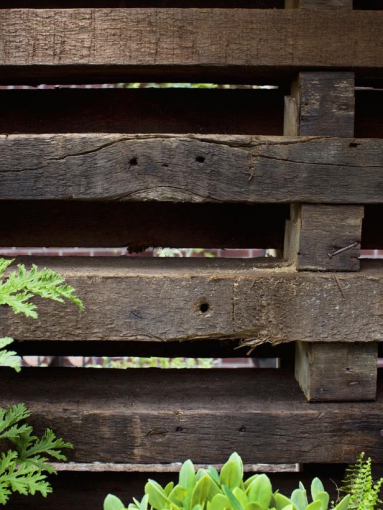 Arrangiamento per un giardino urbano di New York 5