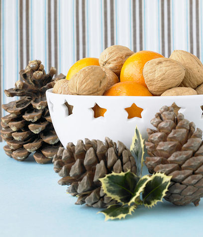 Pigne-agrifoglio-e-frutta-decorazioni-natalizie_su_vertical_dyn