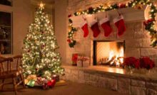 Nuovo albero, zero spese ideepratiche.it